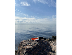 Духи НОТА: ЧИСТОТА И НЕВИННОСТЬ, 5.5 мл