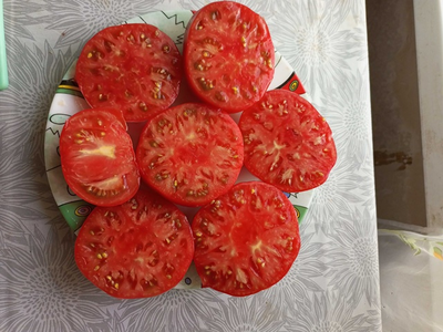 Томат Сладкая свекла (Dulcea de Fagaras), Италия