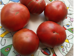 Томат Королевский фиолетовый (Royal Purple)