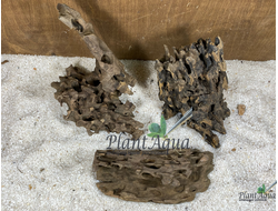 Коряга Мангровая Дракон L (20-40см)