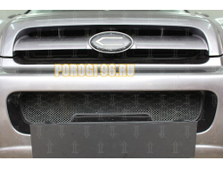 Защита радиатора Hyundai Santa Fe 2000-2006 black низ