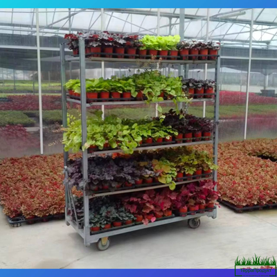 Евро тролль - тележка для цветов (НОВАЯ) в комплекте 3 полки- влагостойкая фанера 6мм.