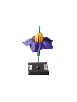 Модель цветка картофеля