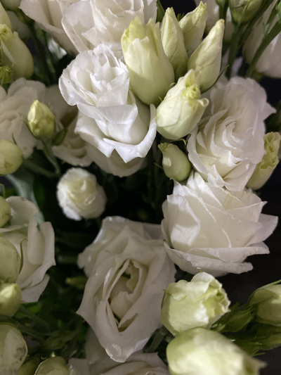 Эустома 9 шт