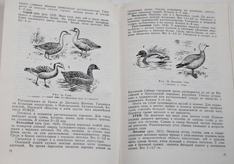 Охотничий минимум. М.: Россельхозиздат. 1973 г.
