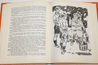 Ржига Б. Дикий конек Рин. Смена капитанов. М.: Детская литература. 1989г.