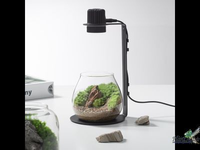 Чаша Пузырь Biolark  FOUR (120мм х 105мм)