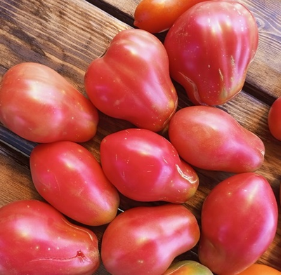 Томат Клубничный (Fragolone), Италия