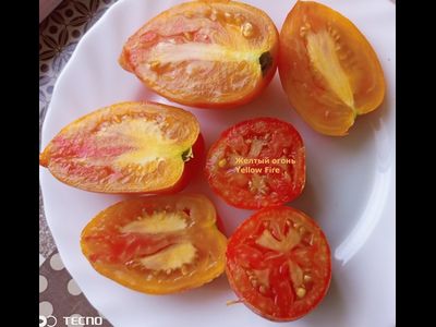 Томат Желтый огонь (Yellow fire, Желтое пламя)