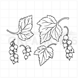 Штамп листья и ягоды черной смородины