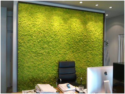 отделка стен, отделка стен тюмень, отделка стен цена, отделка стен под ключ, отделка стен в квартире