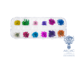 Сухоцветы крупные, 24 шт, прозрачный