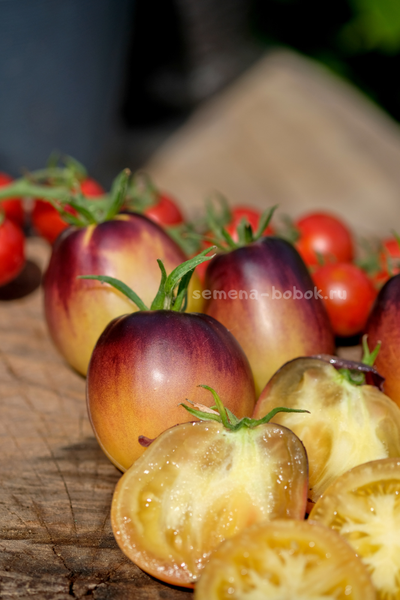 Томат Золотая Чалма, 10 шт