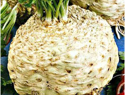 Сельдерей корневой Балена, 9 шт