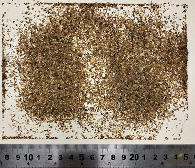 Яблоко сушеное 1-2 мм