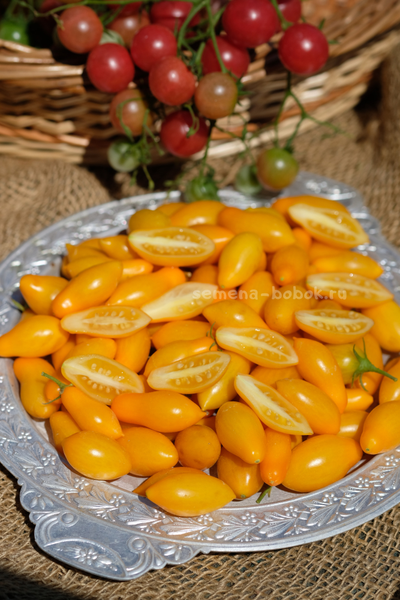 Томат Borghese Vase Roman (Римская Ваза Боргезе), 10 шт