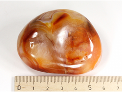 Сердолик, сардоникс, полировка, Индия (60*47*28 мм, 114 г) №28989