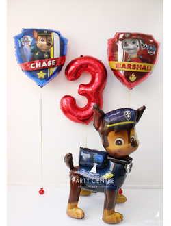 Набор с двумя щитами Щенячий патруль