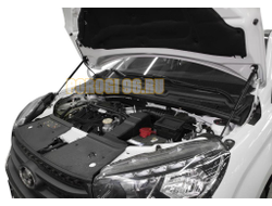 Амортизаторы капота, 2 шт. АвтоУпор для Lada Xray Хэтчбек / Xray Хэтчбек  Cross 2015- / 2018-