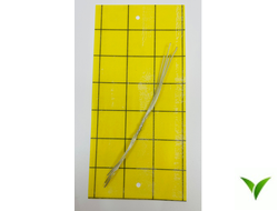 Клеевая пластина с сеткой