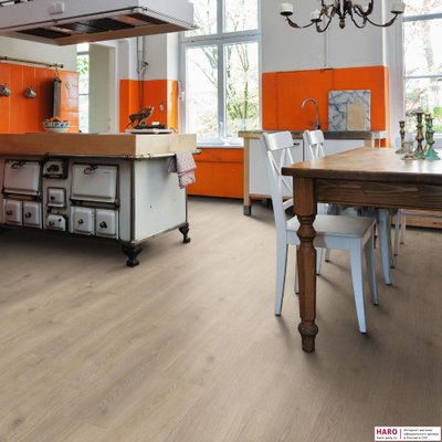 Декор ламината Haro Tritty 200 Aqua Дуб Контура каменно-серый 540239 в интерьере кухни