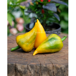 Перец сладкий Леся Желтая, 10 шт