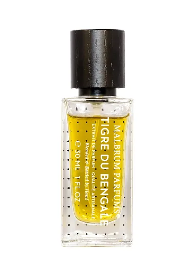 Malbrum TIGRE DU BENGALE