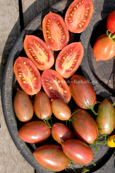 Томат Javelin (Копье), 10 шт