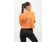 Свитшот CROP CREW NECK SWEATSHIRT GYM SPIRIT 483 Оранжевый