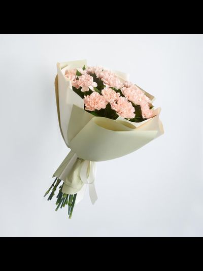 15 кремовых диантусов