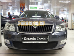 Защита радиатора Skoda Octavia А5 2009-2012 black