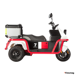 Электротрицикл Wanshida DOUHAO 60V 800Вт черно-бело-красный