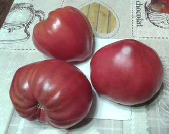 Семена томата Пурпурное сердце Гном