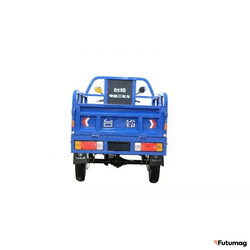 Грузовой электротрицикл TaiLG TL800