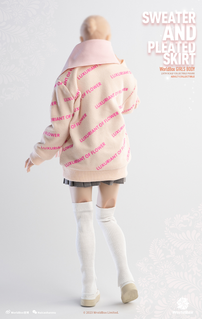 Женский комплект с толстовкой (розовая) и юбкой 1/6 Clothing set pink (CA010) - Worldbox