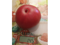 Томат 1884 фиолетовый (1884 Purple, Канада)