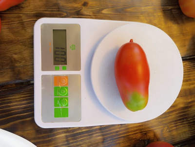 Томат Длинные из Ковеля