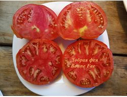 Томат Добрая Фея (Bonne Fee , Франция)