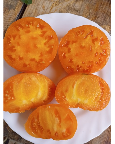 Томат Летний сидр (Summer Cider, США)