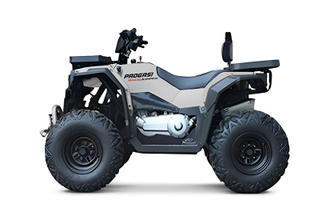 Квадроцикл PROGASI Race Jumper 200