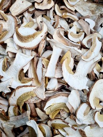 Сушеный белый гриб АЛТАЙ, Урожай 2023, 100г