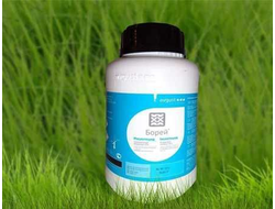 Борей Нео СК