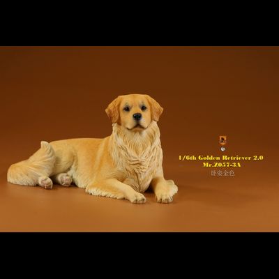 Золотистый ретривер (лежащий) - Коллекционная ФИГУРКА 1/6 scale Animal Model Golden Retriever 2.0 (MRZ057-3A) - Mr.Z