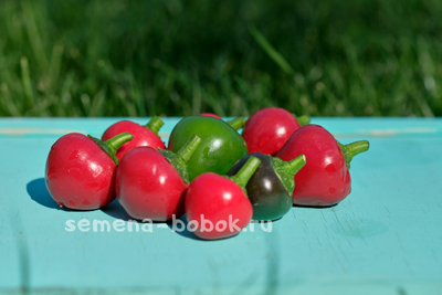 Перец сладкий Sweet Cherry (Свит Черри) , 10 шт