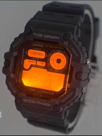 Часы Casio WS-1700H-1A