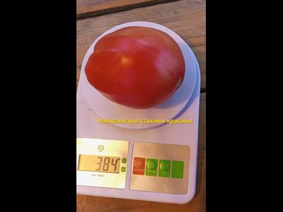 Томат Минусинские стаканы красные