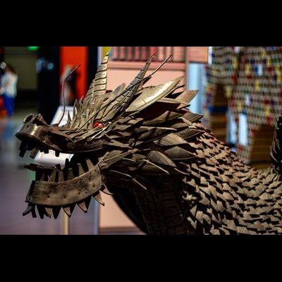 Экскурсия "Прогулка в парке птиц"