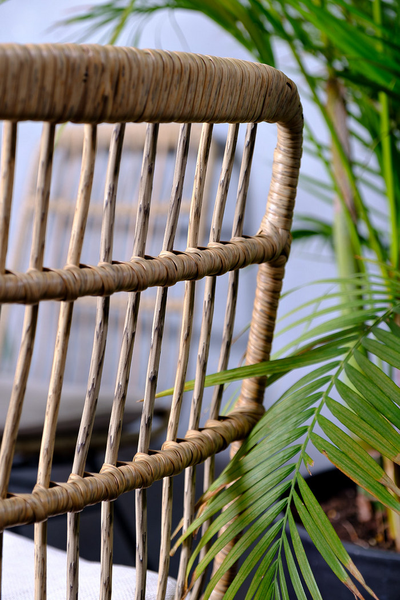 Обеденная группа Sharlotte M