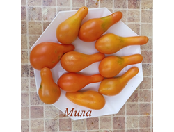 Томат Мила (Mila)