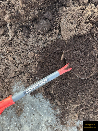 верховой торф